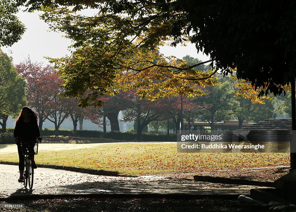 Autumn Colours Begin To Show In Hyogo