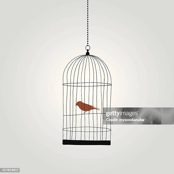 bildbanksillustrationer, clip art samt tecknat material och ikoner med lonely red bird in birdcage. vector illustration - cage