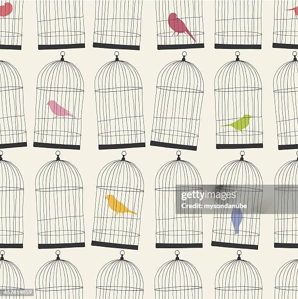 ilustrações, clipart, desenhos animados e ícones de seamless birdcages e pássaros coloridos de papel de parede com padrão - ave canora