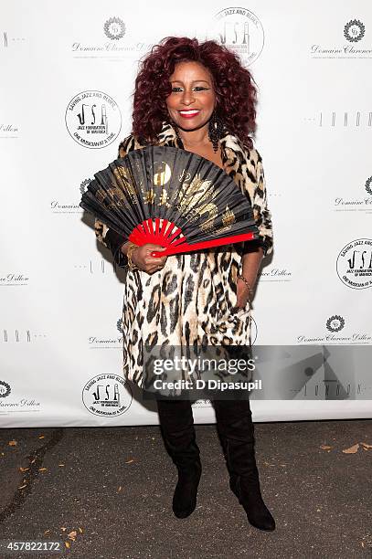 Chaka Khan attends The Jazz Foundation Of America's 13th Annual "A Great Night In Harlem" Gala Concert at The Apollo Theater on October 24, 2014 in...