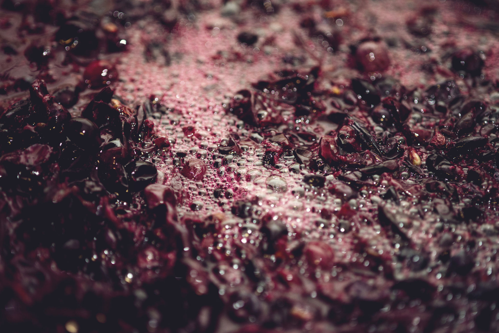 wine fermentation