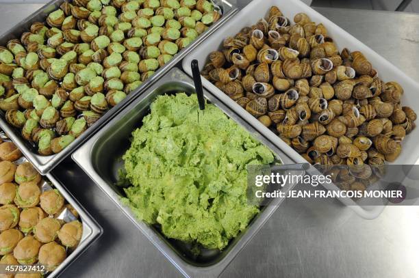 Picture shows cooked snails of the Helix Aspersa species, commonly known as garden snail and Gros-Gris in French, prepared with garlic and herb...