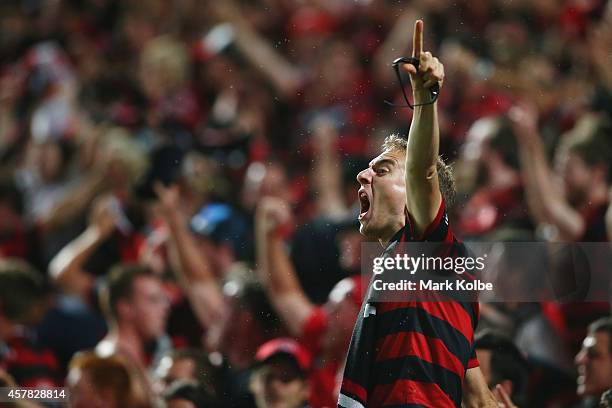 Wanderers fan celebrates after Tomi Juric of the Wanderers scored a goal during the Asian Champions League final match between the Western Sydney...