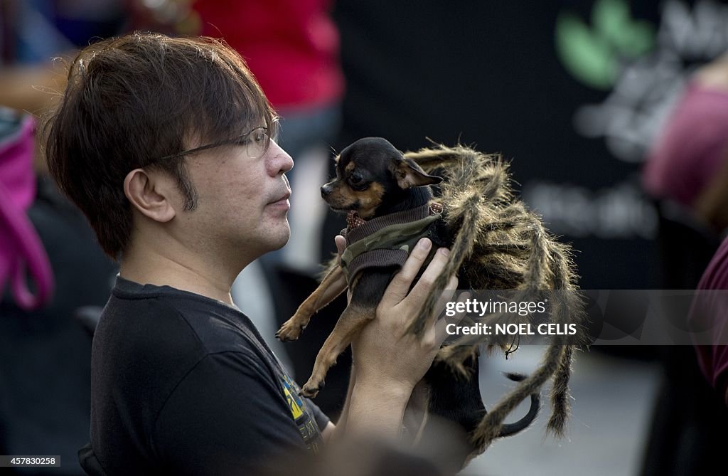 PHILIPPINES-ANIMAL-SOCIETY-RELIGION-ALL SOULS DAY