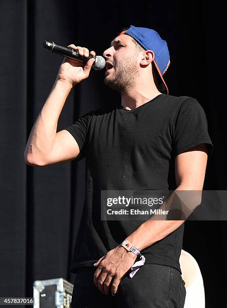 Recording artist Alex Frankel of Holy Ghost! performs during the Life is Beautiful festival on October 24, 2014 in Las Vegas, Nevada.