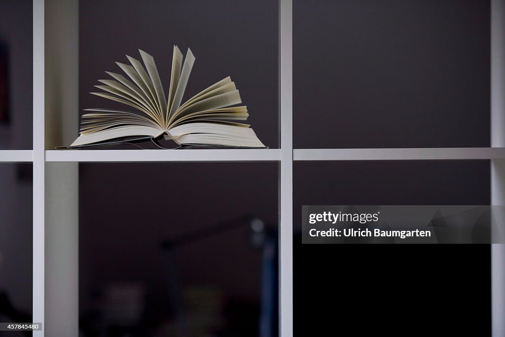 Exfoliated Single Book In An Empty Bookshelf.