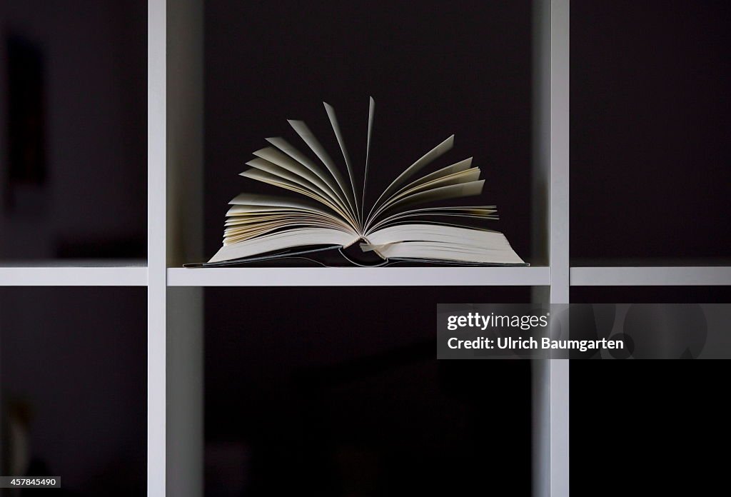 Exfoliated Single Book In An Empty Bookshelf.