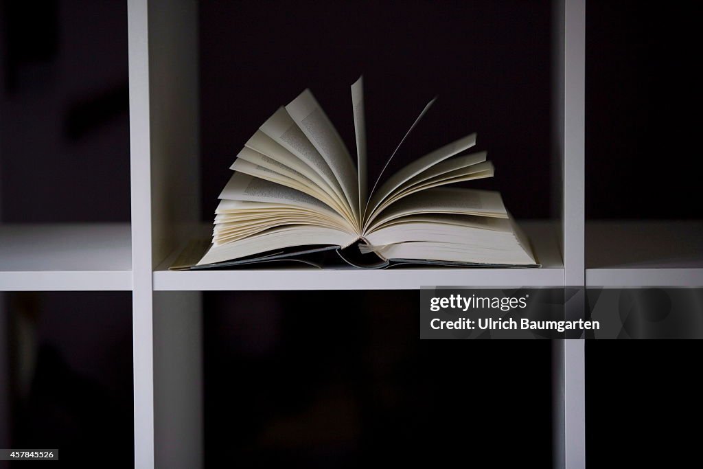 Exfoliated Single Book In An Empty Bookshelf.