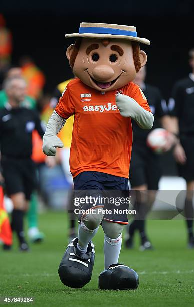 Luton Town mascot Happy Harry prior to the Sky Bet League Two match between Luton Town and Northampton Town at Kenilworth Road on October 25, 2014 in...