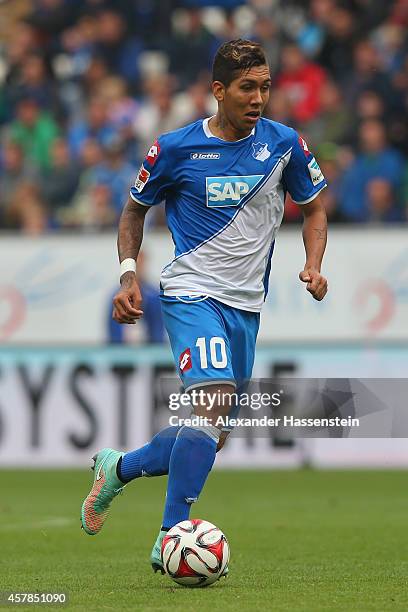 Roberto Firmino of Hoffenheim runs with the ball during the Bundesliga match between TSV 1899 Hoffenheim and SC Paderborn 07 at Wirsol...