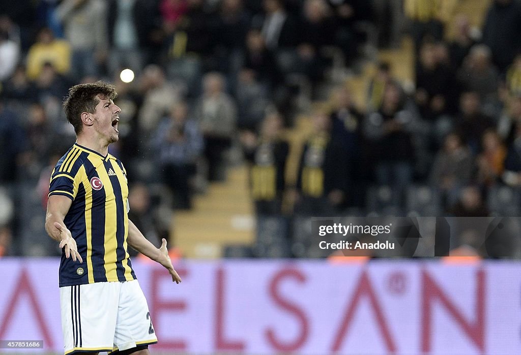 Turkish Spor Toto Super League: Fenerbahce vs Genclerbirligi