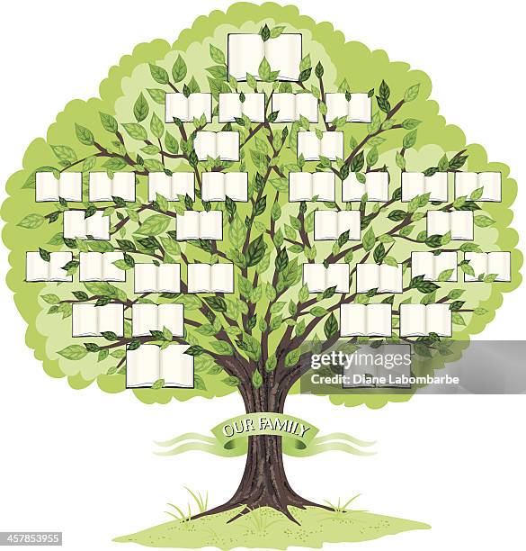 family tree template - genealogy stock illustrations