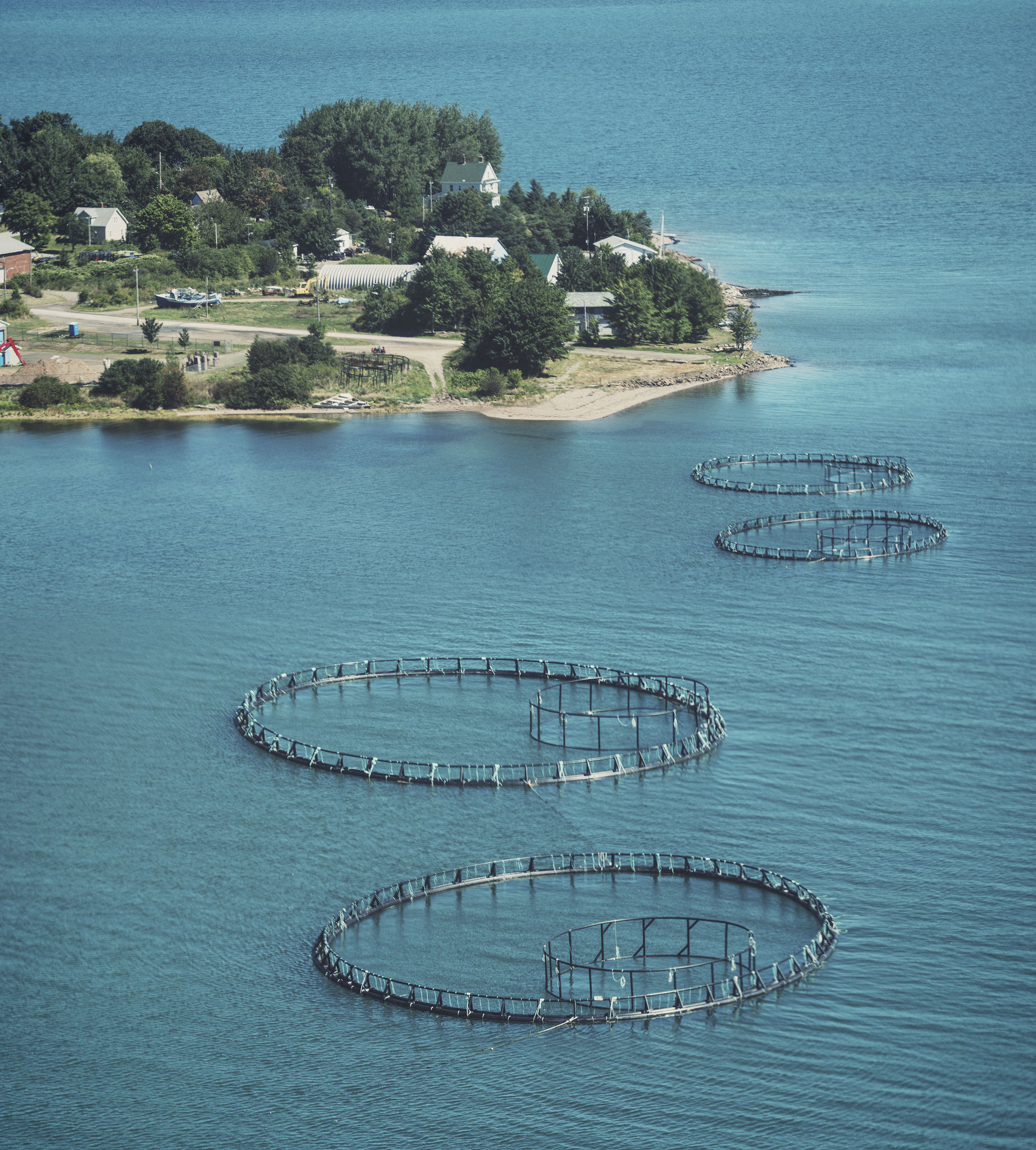 aquaculture