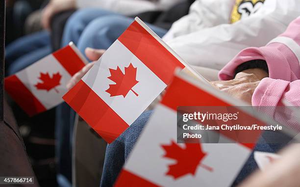 Fans hold Canadian flags as they watch an NHL game between the Ottawa Senators and the New Jersey Devils at Canadian Tire Centre on October 25, 2014...