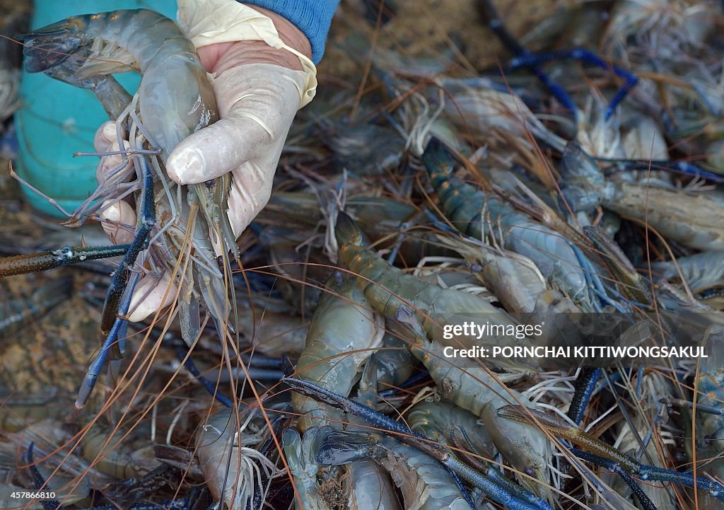 THAILAND-FRANCE-FISHING-FOOD-RIGHTS