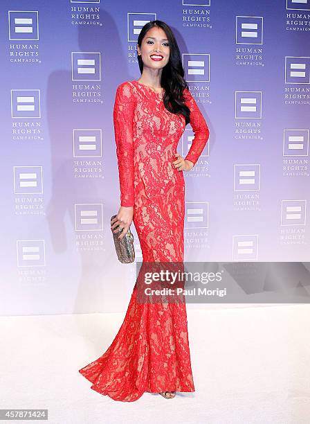 Geena Rocero arrives at the 18th Annual HRC National Dinner at The Walter E. Washington Convention Center on October 25, 2014 in Washington, DC.