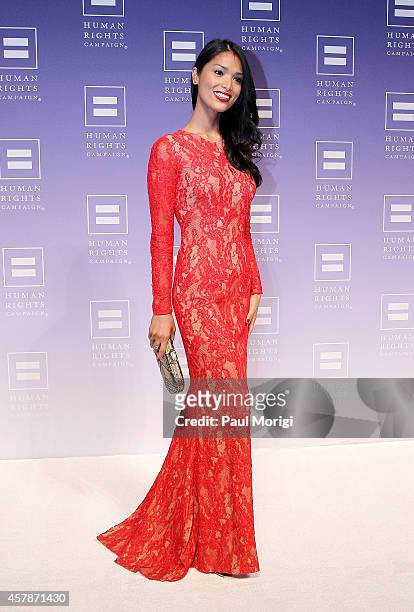 Geena Rocero arrives at the 18th Annual HRC National Dinner at The Walter E. Washington Convention Center on October 25, 2014 in Washington, DC.