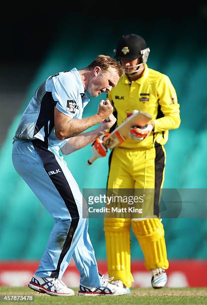 Doug Bollinger of the Blues celebrates taking the wicket of Sam Whiteman of the Warriors during the Matador BBQs One Day Cup Final match between...