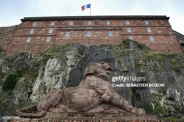 This picture taken on December 19, 2013 in Belfort, eastern France, shows Belfort's famous lion sculpture, in front of the fortress designed by...
