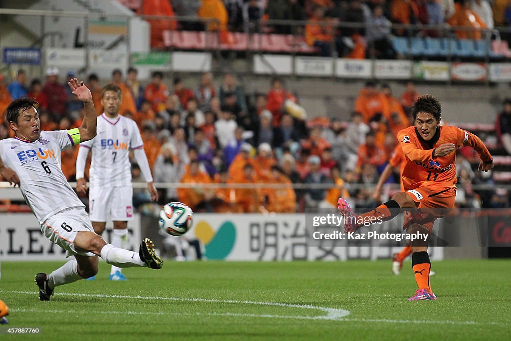 Shimizu S-Pulse v Sanfrecce Hiroshima - J.League 2014