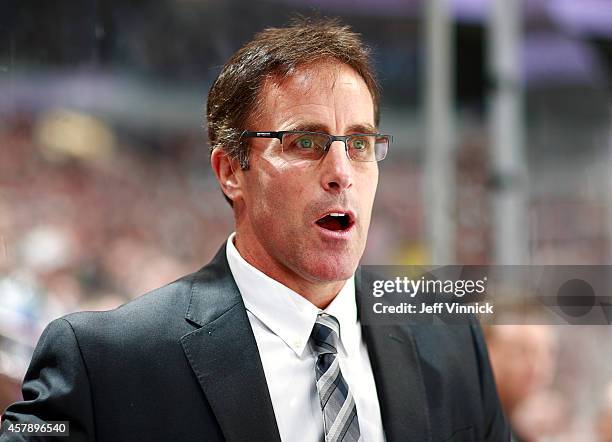 Assistant coach Doug Lidster of the Vancouver Canucks looks on from the bench during their NHL game against theTampa Bay Lightning at Rogers Arena...