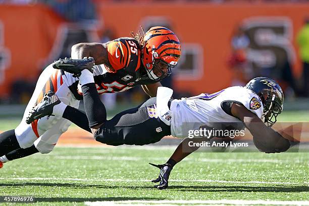 Vontaze Burfict of the Cincinnati Bengals tackles Justin Forsett of the Baltimore Ravens during the third quarter at Paul Brown Stadium on October...