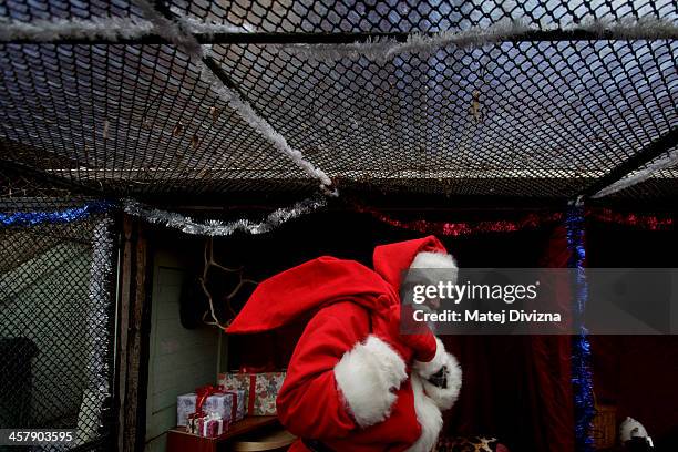 Man dressed as Santa Claus carries a sack behind the bars in an enclosure during a media presentation of a Santa Claus Christmas exposition at Prague...