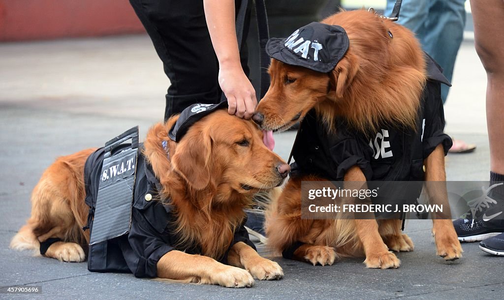 US-HALLOWEEN-DOGS