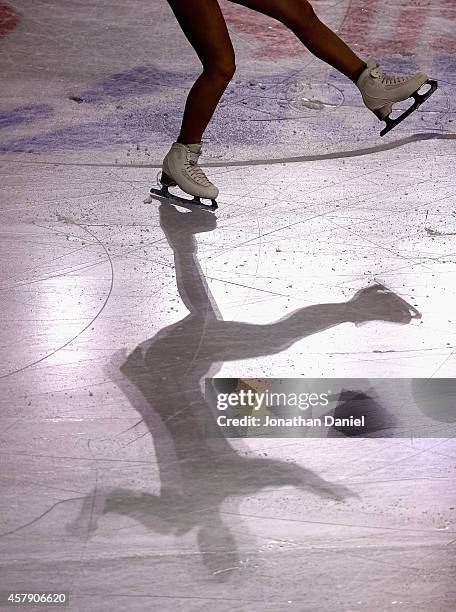 Skater's shadow is seen during the 2014 Hilton HHonors Skate America competition at the Sears Centre Arena on October 26, 2014 in Hoffman Estates,...