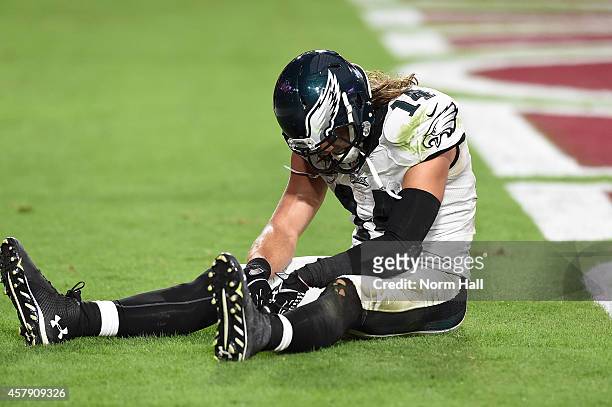 Riley Cooper of the Philadelphia Eagles sits in the end zone after losing to the Arizona Cardinals 24-20 at University of Phoenix Stadium on October...