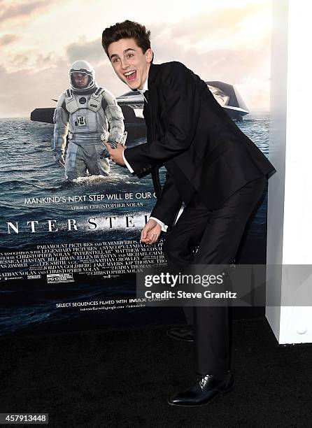 Actor Timothée Chalamet attends the "Interstellar" Los Angeles premiere at TCL Chinese Theatre IMAX on October 26, 2014 in Hollywood, California.