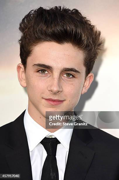 Actor Timothée Chalamet attends the "Interstellar" Los Angeles premiere at TCL Chinese Theatre IMAX on October 26, 2014 in Hollywood, California.