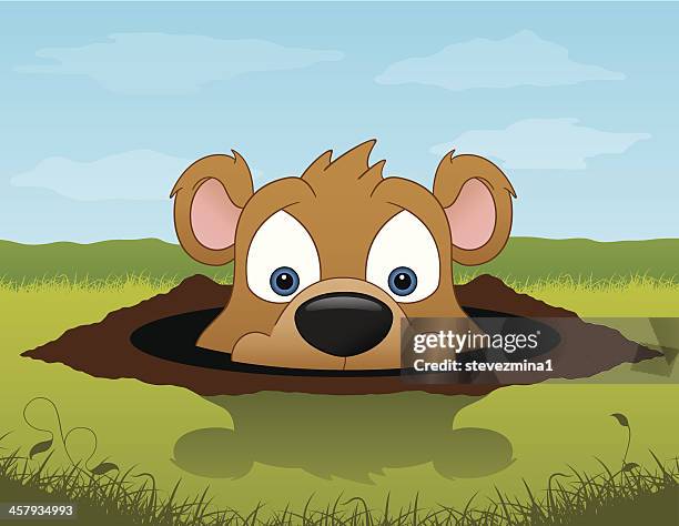 groundhog sees his shadow - groundhog day stock illustrations