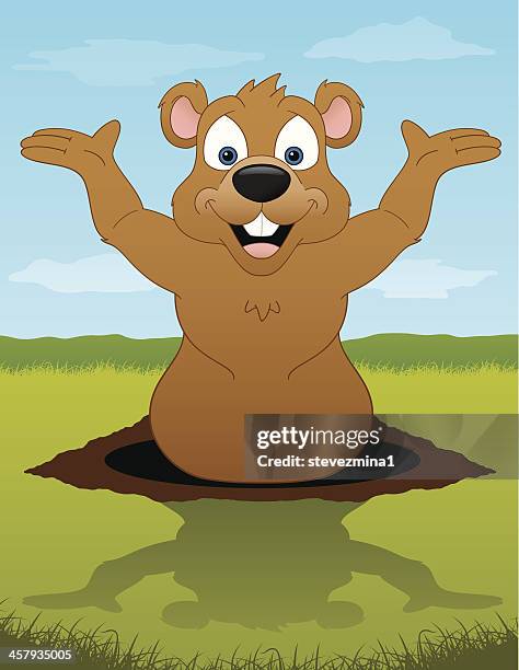 groundhog - groundhog day stock illustrations
