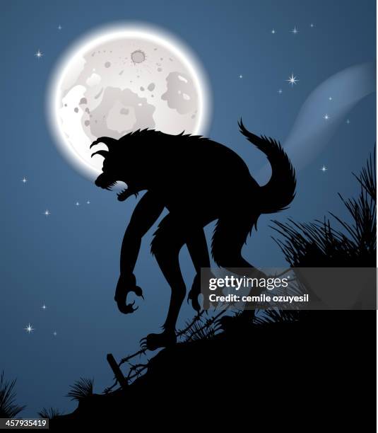 werewolf silhouette - wolf moon stock illustrations