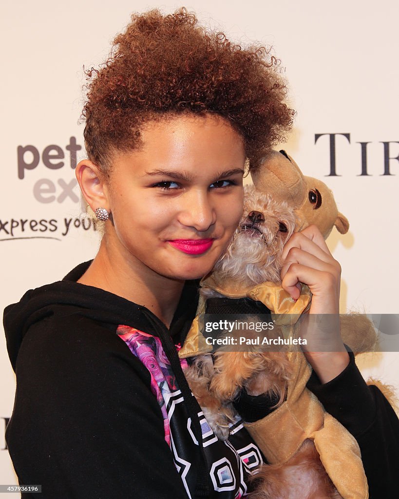 The Amanda Foundation's 2014 Bow Wow Beverly Hills Halloween Rodeo Drive "Night Of The Living Dog!" Event