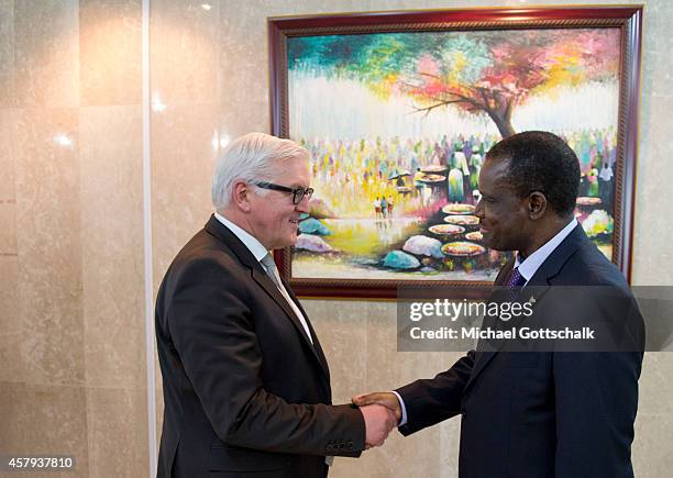 Abuja, Nigeria German Foreign Minister Frank-Walter Steinmeier meets with the Praesident of the Commission of the Economic Community of West African...