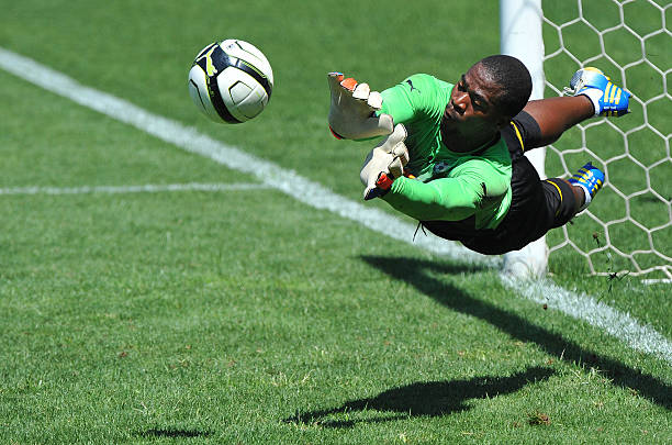 ZAF: In Profile: South African Footballer Senzo Meyiwa