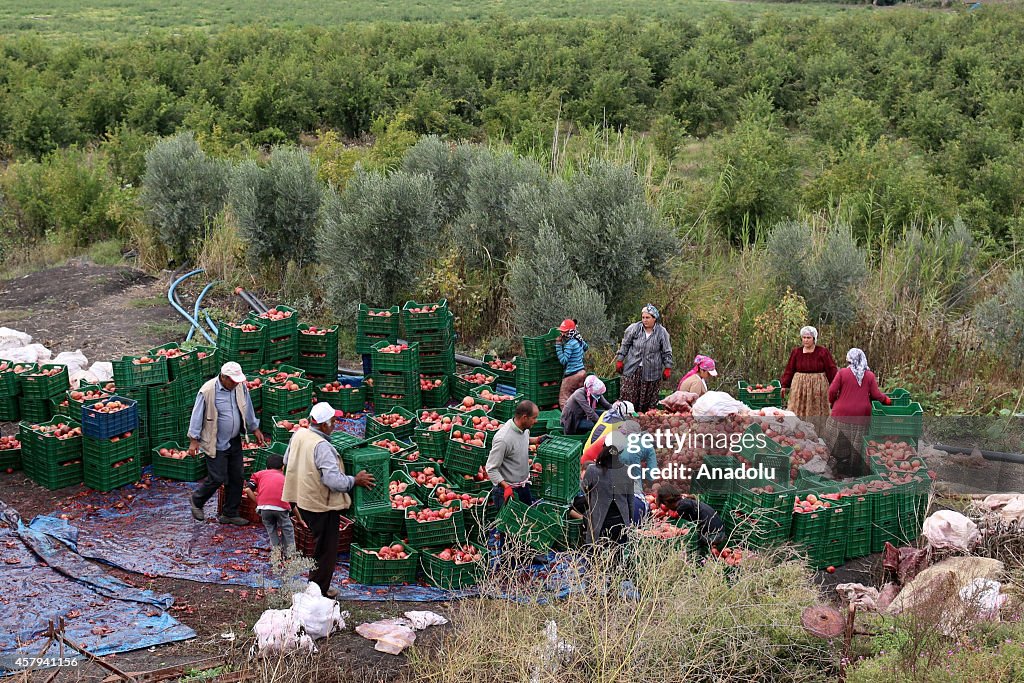 Syrian refugees living in Turkey