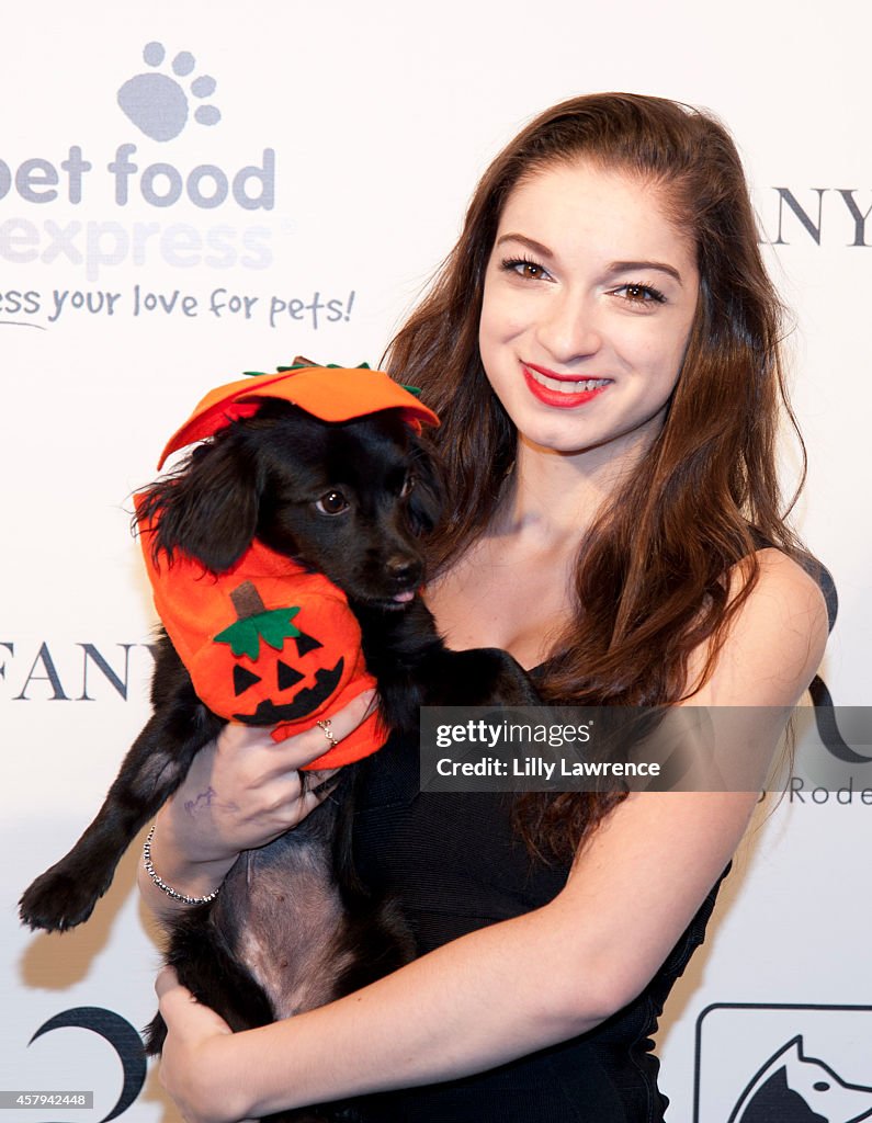 The Amanda Foundation's 2014 Bow Wow Beverly Hills Halloween Rodeo Drive "Night Of The Living Dog!" Event