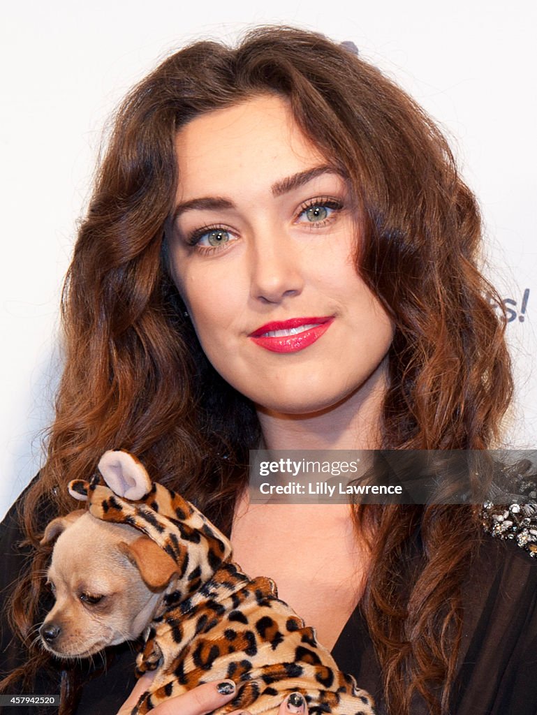 The Amanda Foundation's 2014 Bow Wow Beverly Hills Halloween Rodeo Drive "Night Of The Living Dog!" Event