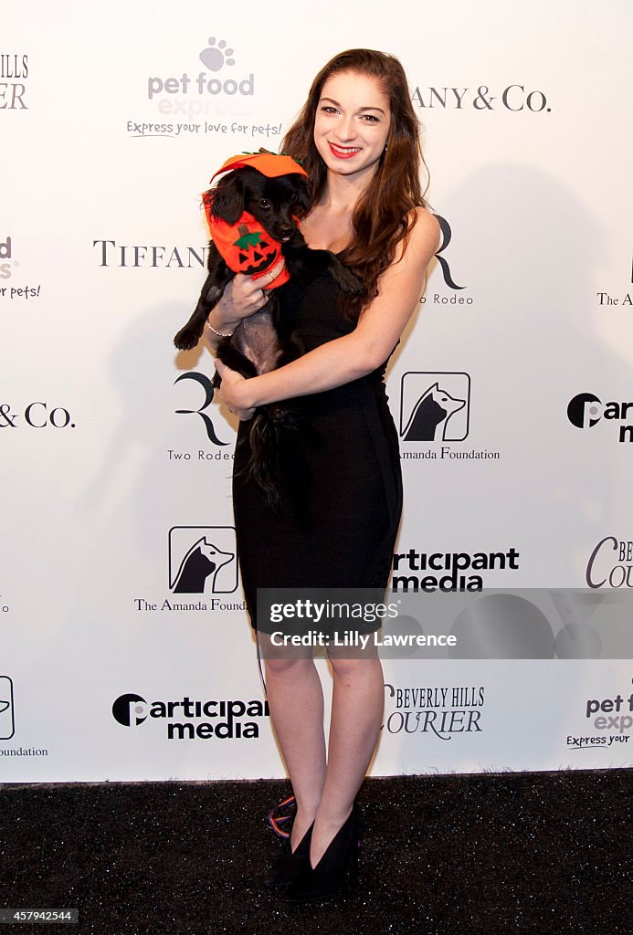 The Amanda Foundation's 2014 Bow Wow Beverly Hills Halloween Rodeo Drive "Night Of The Living Dog!" Event