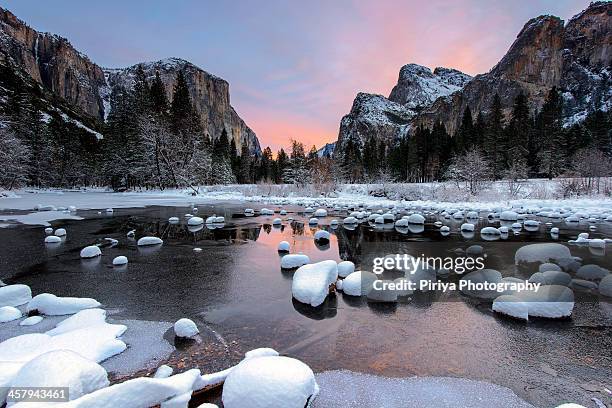 morning at yosemite - yosemite national park stock pictures, royalty-free photos & images
