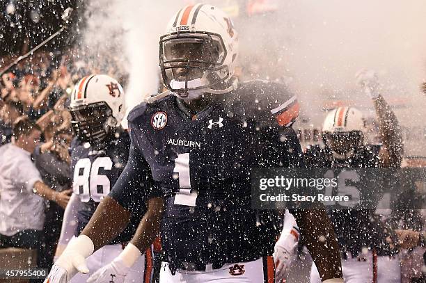 Montravius Adams of the Auburn Tigers takes the field for a game against the South Carolina Gamecocks at Jordan Hare Stadium on October 25, 2014 in...