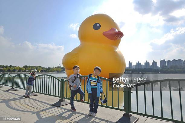 Giant inflatable Rubber Duck designed by Dutch conceptual artist Florentijn Hofman is seen on display at Century Park on October 23, 2014 in...