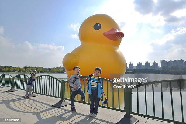 Giant inflatable Rubber Duck designed by Dutch conceptual artist Florentijn Hofman is on display at Century Park on October 23, 2014 in Shanghai,...
