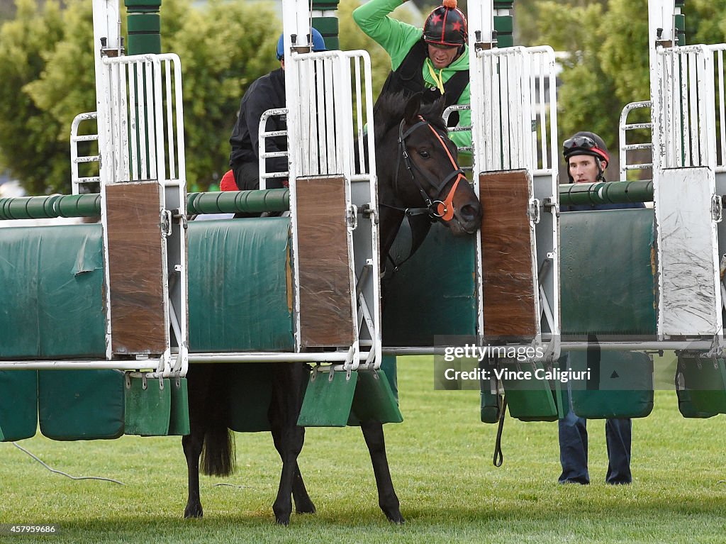 Flemington Trackwork Session