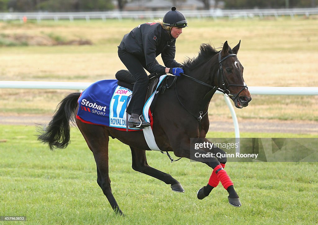 Werribee Trackwork Session