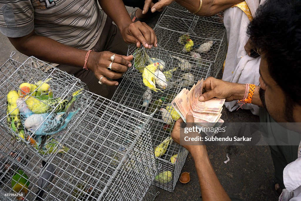 A buyer pays in cash for colorful birds at Kolkata pet...
