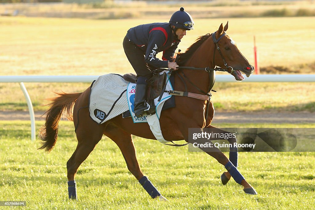 Werribee Trackwork Session